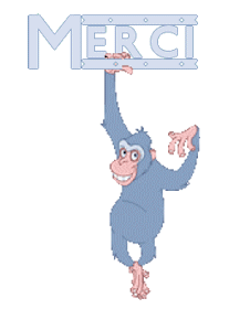 Gif merci singe